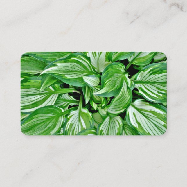 Tarjetas de visita verdes (Anverso)