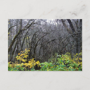 Tarjetas de Winter woods