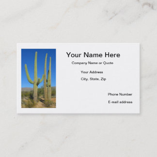 Tarjetas del cactus