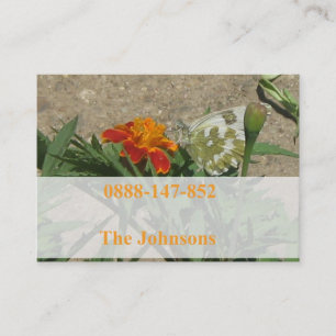 tarjetas del contacto de la familia