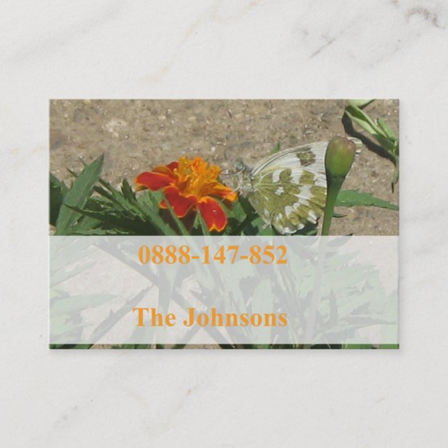 tarjetas del contacto de la familia (Anverso)