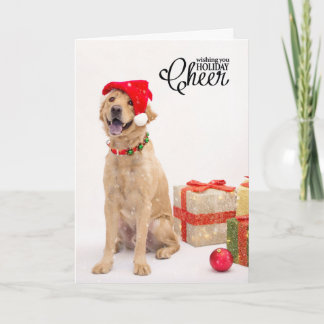 Tarjetas del día de fiesta