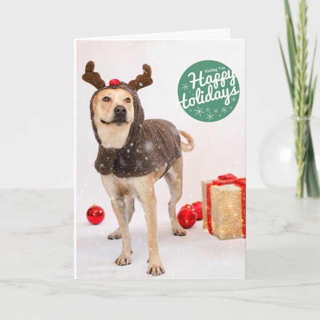 Tarjetas del día de fiesta (Anverso)