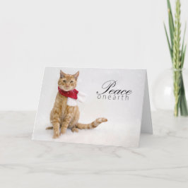 Tarjetas del día de fiesta de la caridad