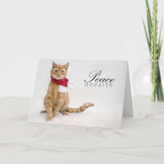 Tarjetas del día de fiesta de la caridad