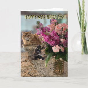 Tarjetas del Día de la Madre con Gatos y Flores
