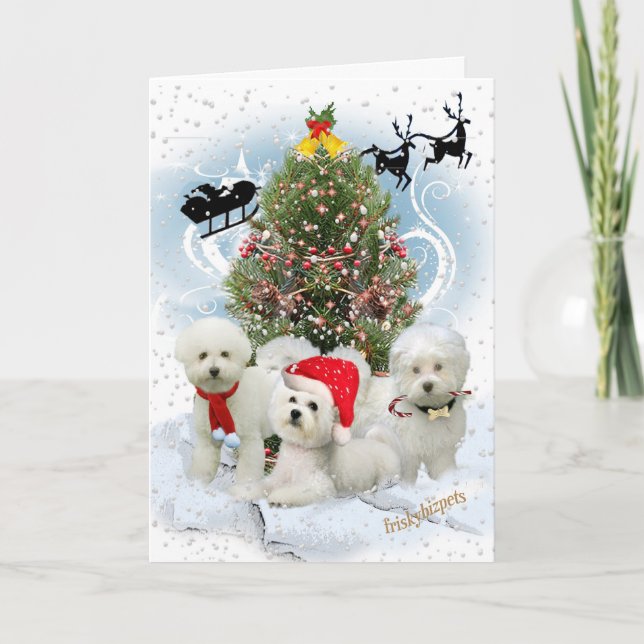 Tarjetas del día de navidad de Bichon Nevado (Anverso)