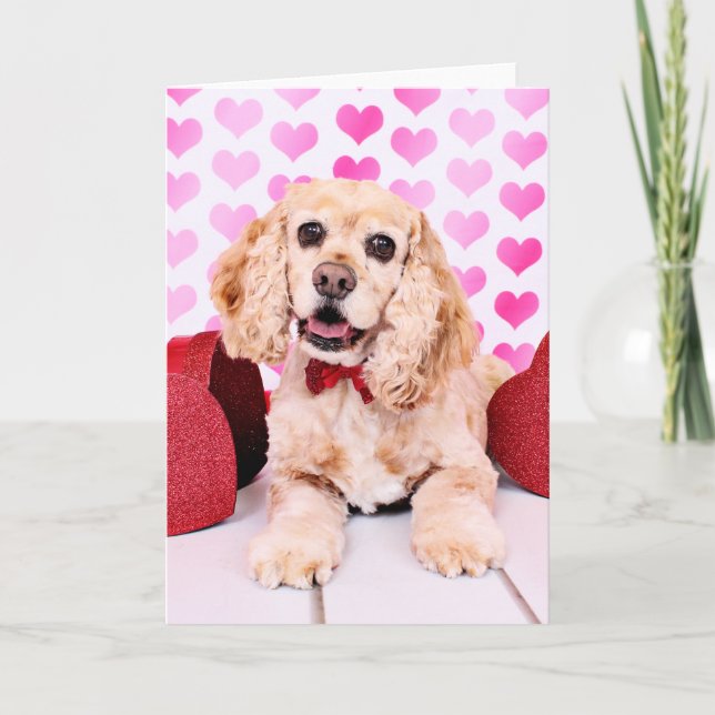 Tarjetas del día de San Valentín - cocker spaniel (Anverso)