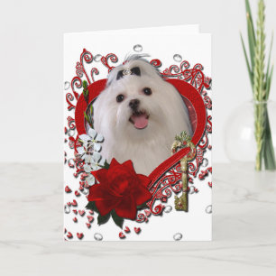 Tarjetas del día de San Valentín - llave a mi