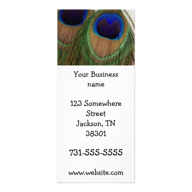Tarjetas del estante de la pluma del pavo real (Frente)