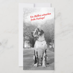 Tarjetas del foto del navidad de great dane