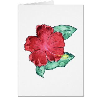 Tarjetas del hibisco