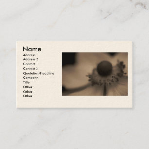 Tarjetas del negocio y del perfil de la anémona