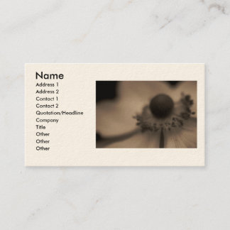 Tarjetas del negocio y del perfil de la anémona