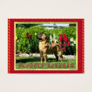 Tarjetas del perfil de Jetta Shar-pei