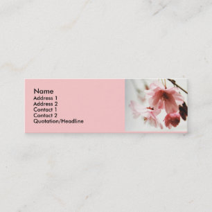 Tarjetas del perfil de la flor de cerezo del
