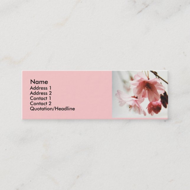 Tarjetas del perfil de la flor de cerezo del (Anverso)