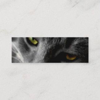 Tarjetas del perfil de los ojos de gato
