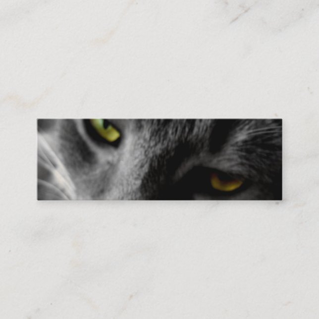 Tarjetas del perfil de los ojos de gato (Anverso)