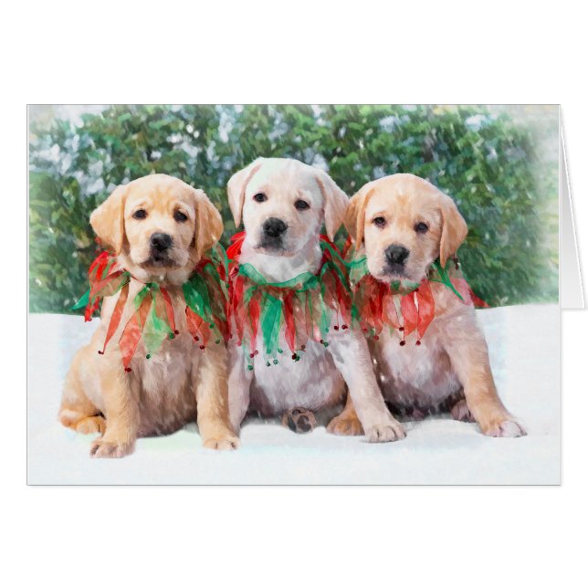Tarjetas del perrito del labrador retriever (Anverso (Horizontal))