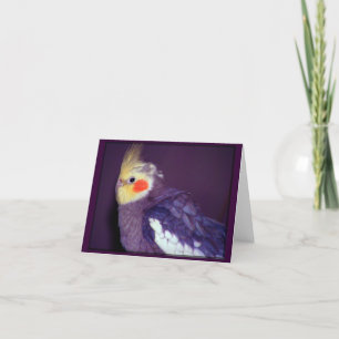 Tarjetas del personalizable de Tiel