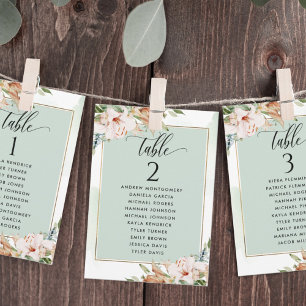 Tarjetas del plan de asientos de sabio y rosa con 