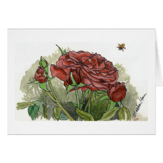 Tarjetas del rosa rojo