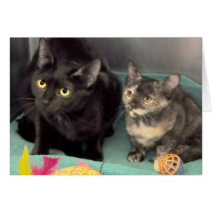 Tarjetas del saludo/de nota del gato negro/del