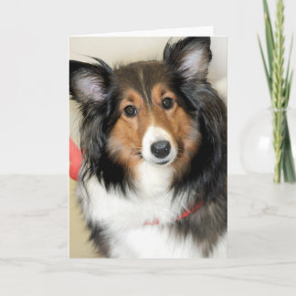 Tarjetas del saludo/de nota del perro pastor de