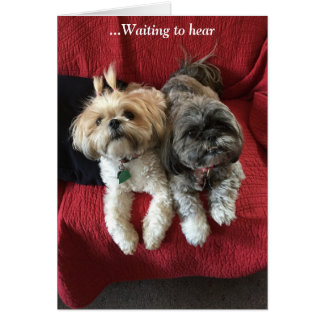 Tarjetas diarias/ Gracia y Gloria