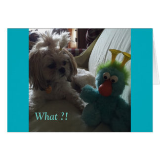 Tarjetas diarias/ Gracia y Gloria