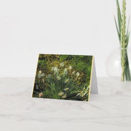 Tarjetas dobladas con narcisos en Stenton House