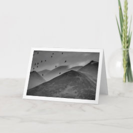 Tarjetas dobladas con pájaros negros en vuelo