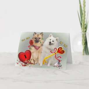 Tarjetas dobles Keeshond Valentine