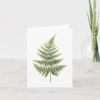 Tarjetas elegantes de notas de diseño de fern