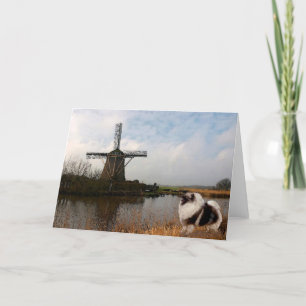 Tarjetas en blanco de Millscape