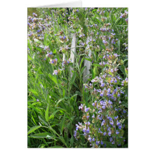 Tarjetas en blanco de salchicha azul con flores