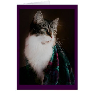 Tarjetas en blanco del gato elegante