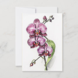 Tarjetas en Blanco Minimalistas de Orquídeas Purpú