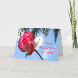 Tarjetas felices tropicales bonitas de la abuela