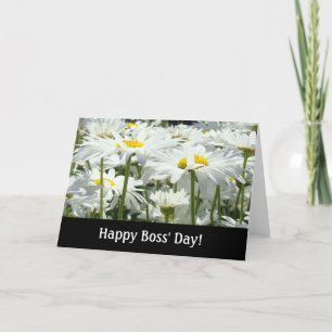 Tarjetas Feliz Día del Jefe! flores de margaritas