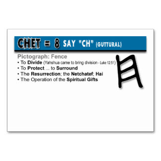 Tarjetas Flash Otiot: 8 de 22