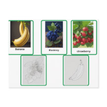 tarjetas flash para niños de frutas y adultos