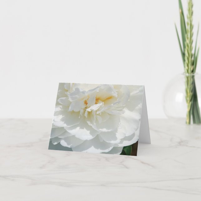 Tarjetas Floral White Rose Note (Anverso)