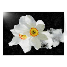 Tarjetas Florales Blancas Smokey