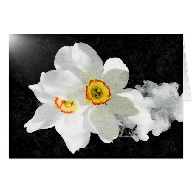 Tarjetas Florales Blancas Smokey (Anverso (Horizontal))
