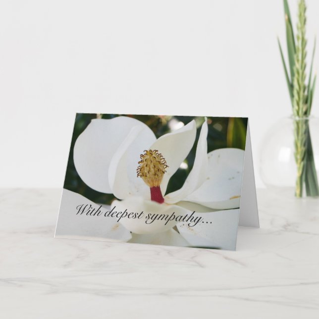 Tarjetas florales de la flor blanca de la magnolia (Anverso)