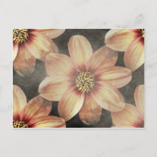 Tarjetas florales Gentle Pastel