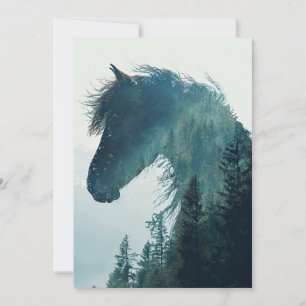 Tarjetas fotográficas de caballos y paisajes