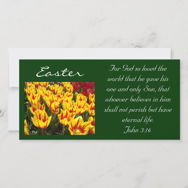 Tarjetas fotográficas de tulipanes de Pascua Bibli (Anverso)